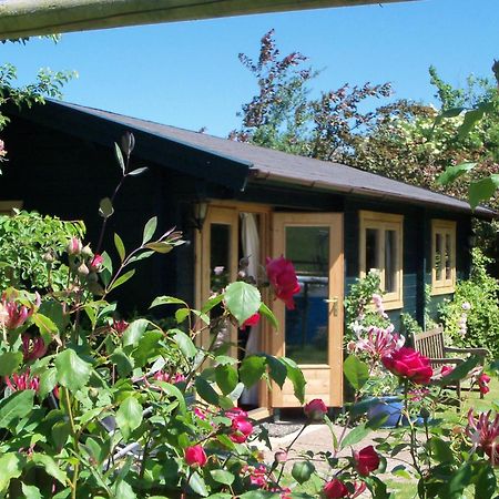 Pet Friendly - Hikers Paradise - South Facing Wells Εξωτερικό φωτογραφία